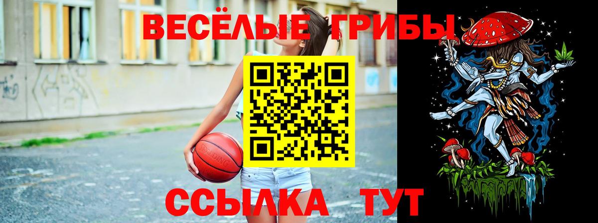 Карталы  Галлюциногенные грибы мицелий  Вход с VPN  Галлюциногенные грибы Psilocybine cubensis 