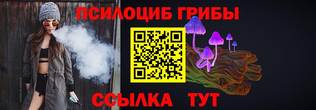 Галлюциногенные грибы прущие грибы Карталы